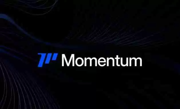 什么是Momentum(MMT)币？它是如何运作的？Momentum运作方式、代币经济及路线图介绍