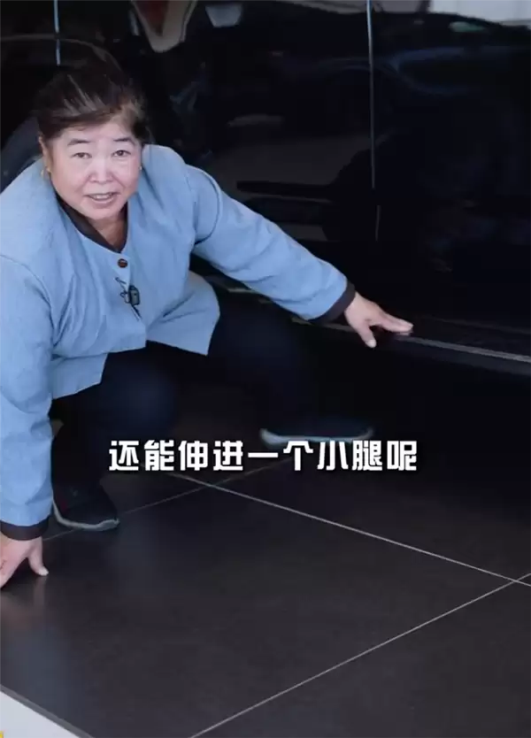爆火!58岁保洁阿姨拍