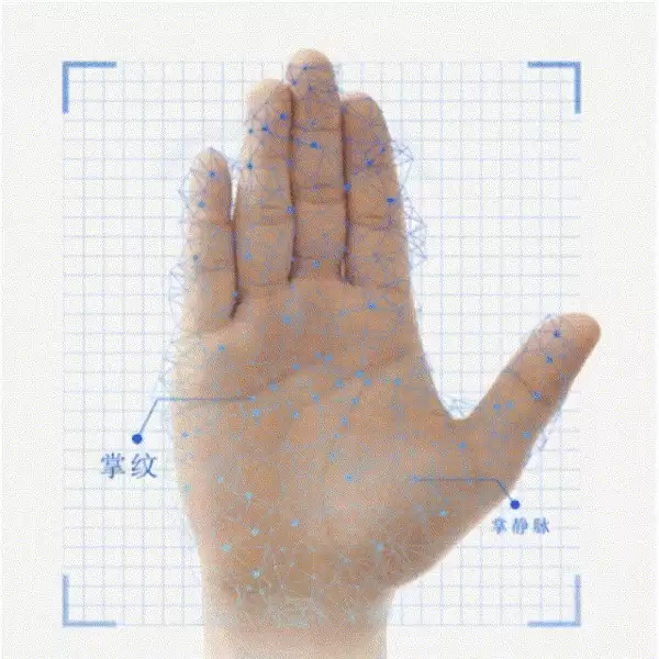 3229元起!小米智能门锁M40+Pro发布:33D人脸+掌静脉 支持长时间插线供电