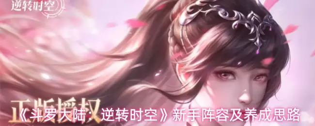 《斗罗大陆:逆转时空》新手阵容及养成思路