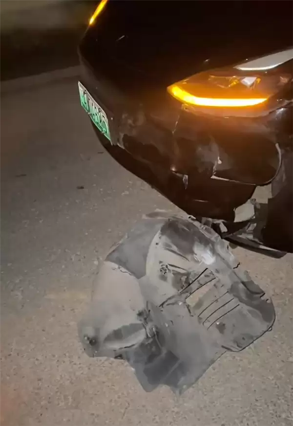 特斯拉撞死闯国道野猪:车主被判全责 行车记录仪视频曝光