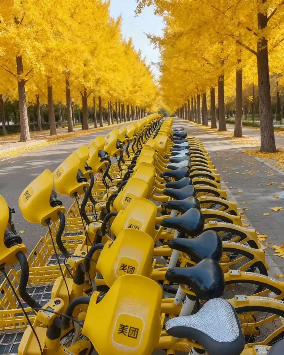 共享单车再卷体验,美团、滴滴青桔、哈啰等用上