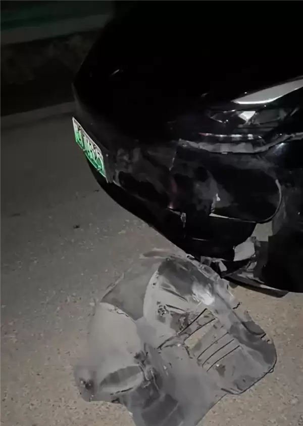 特斯拉国道撞死野猪车主负全责!此前有车主高速上撞野猪获赔偿