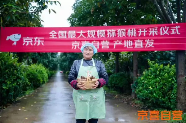 京东京喜自营:一年新增1.5亿用户 交易额暴增10倍