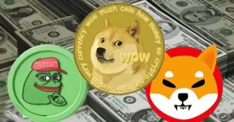 Meme币投资的终极奥义:是投机还是价值发现? - 菜鸟下载