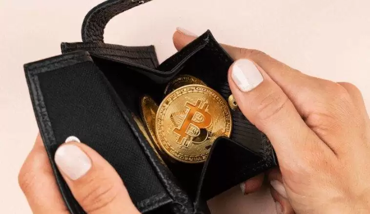 冷存储Ledger购买、设置与使用详细教程（附防骗指南） - 菜鸟下载