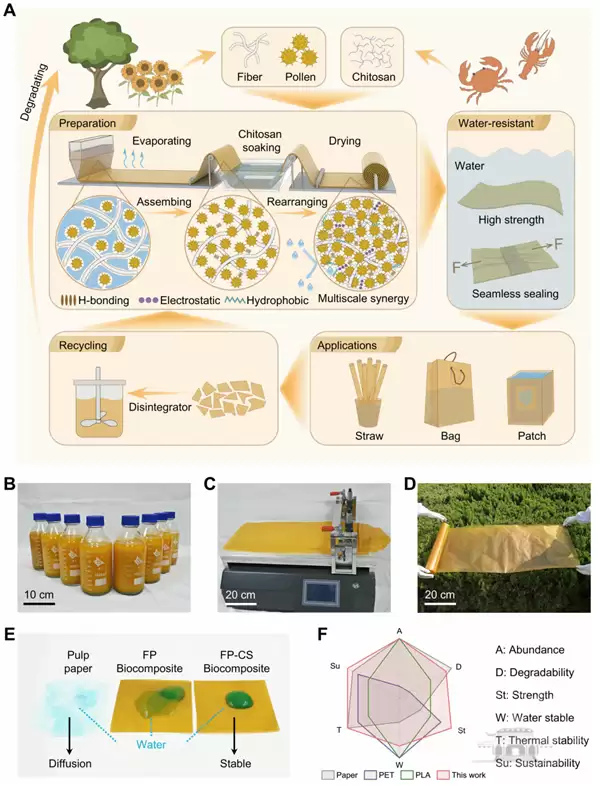 武大新突破 三种天然物质造出“可降解塑料”：防水又强韧