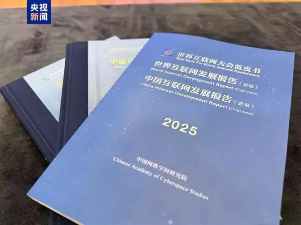 2025互联网蓝皮书今日发布:中国6G专利申请量全球第一