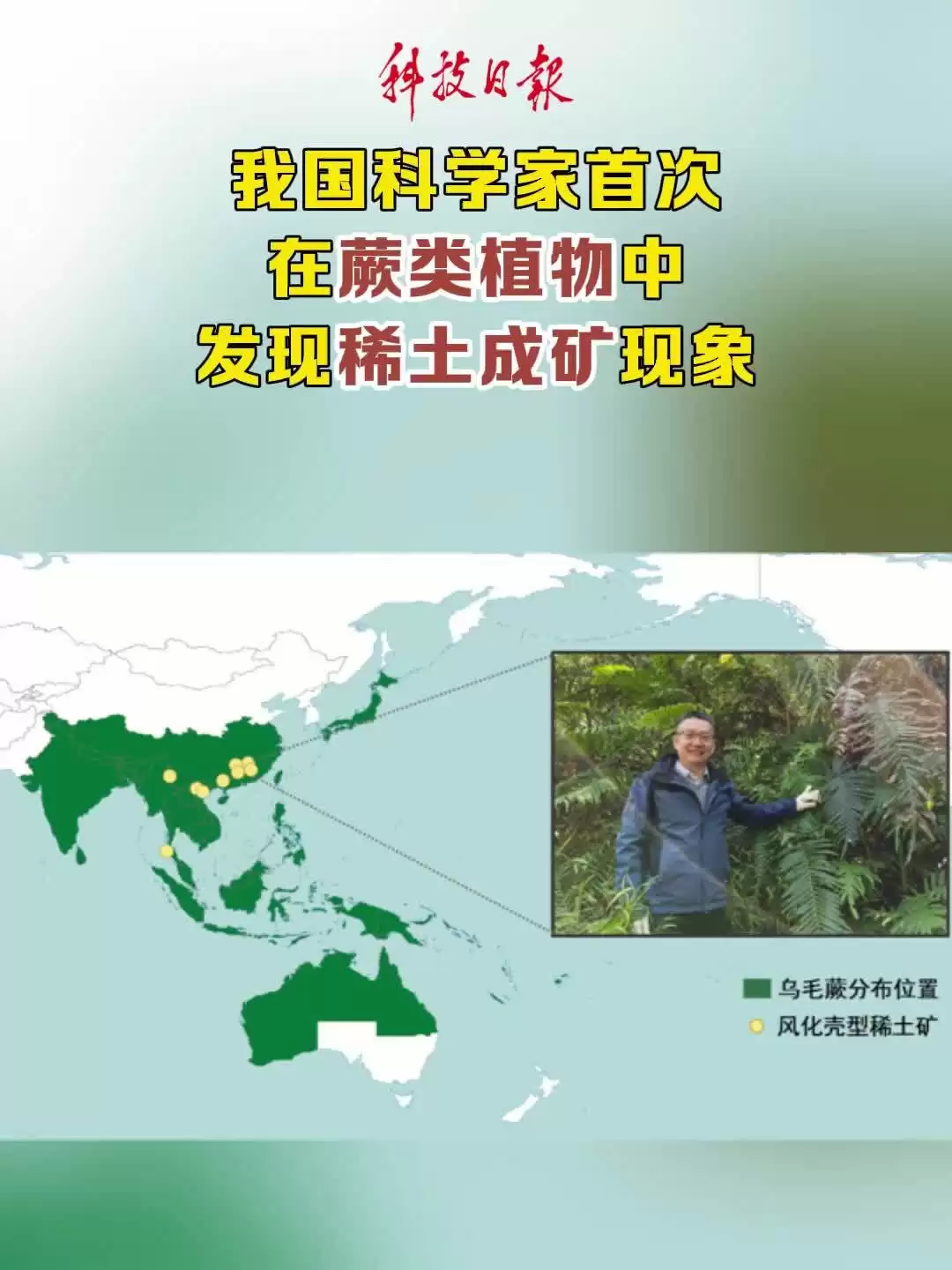 植物也能“造”稀土矿：中国科学院首次在蕨类中发现稀土成矿现象