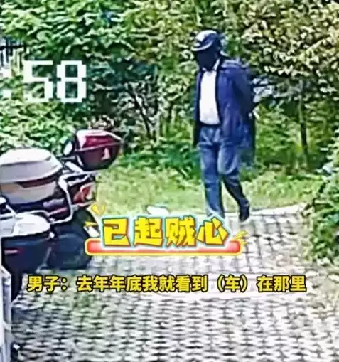 男子自带电瓶偷“僵尸车” 全程戴头盔实施 被抓后:拍不到脸以为抓不到