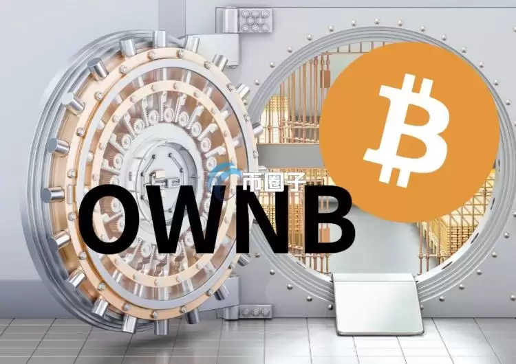 Bitwise推出比特币标准公司ETF OWNB！专投BTC储备策略公司