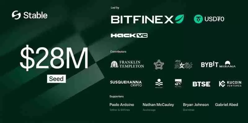 什么是稳定币链?它为何可能成为下一个热门趋势?