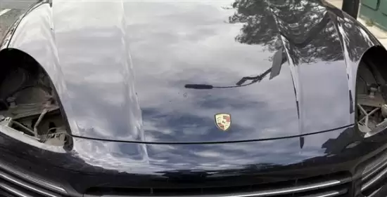 保时捷大灯被盗背后:高端车灯沦为非法种植照明工具