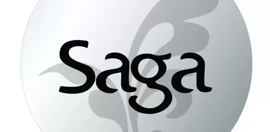 Saga (SAGA) 币是什么?模块化游戏公链的空投与潜力解读 - 菜鸟下载