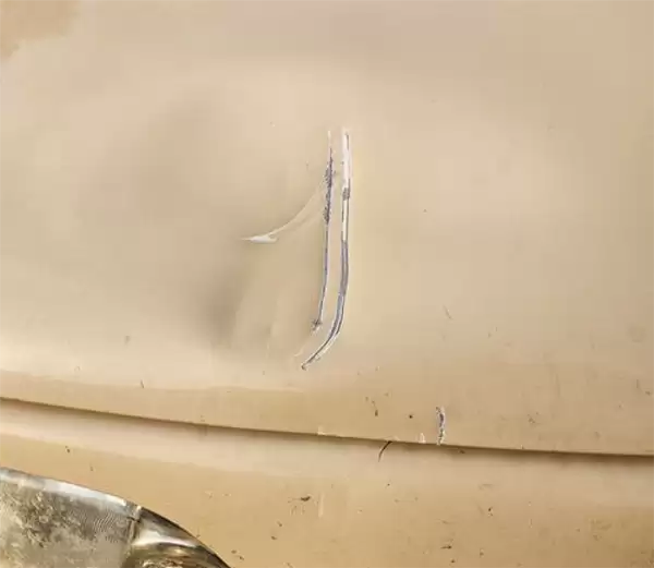 日本北海道一汽车遭熊袭击：引擎盖一巴常被扇凹陷