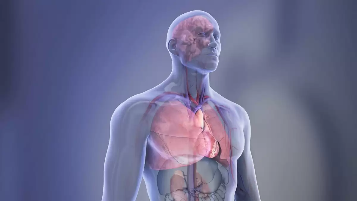 降幅近60%：默沙东口服降脂药enlicitide三期试验结果亮眼