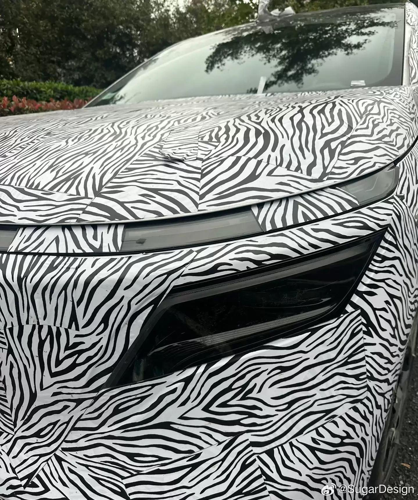 日产全新纯电 SUV 车型 N8 谍照曝光，爆料称“性价比超高”