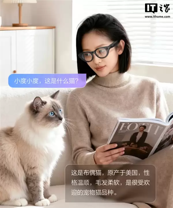 百度旗下小度 AI 眼镜 Pro 开售：支持 AI 翻译、4K 拍照，售价 2299 元