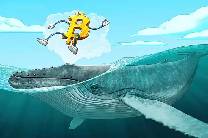 比特币鲸鱼是什么意思?