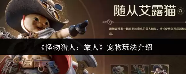 《怪物猎人：旅人》宠物玩法介绍