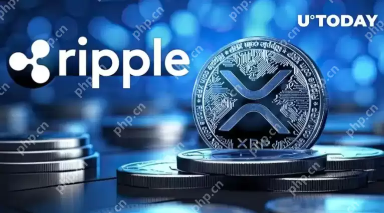 Ripple (XRP) 价格分析：SEC诉讼结束后，XRP会一飞冲天吗？ - 菜鸟下载