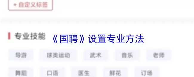 《国聘》设置专业方法