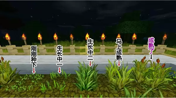 迷你世界怎么弄耕地