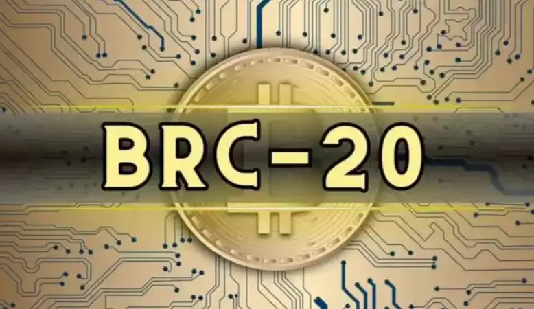 BRC-20标准详解:比特币生态的创新与未来潜力 - 菜鸟下载