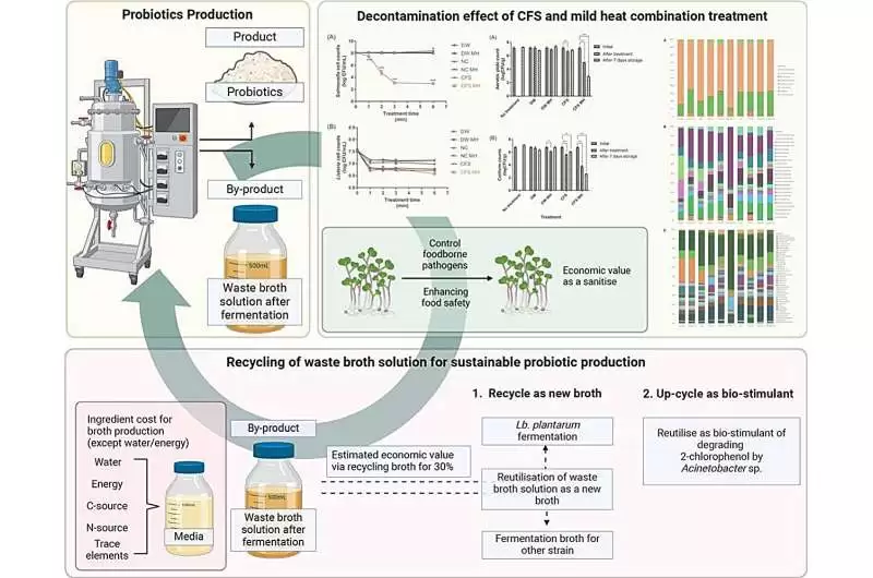 科学家将酸奶、泡菜发酵废液转化为安全高效的蔬菜清洁剂