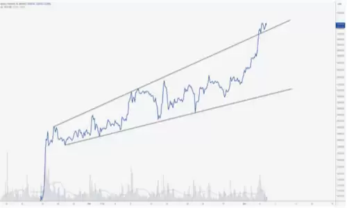 比特币价格创下19个月新高 大鲸的精心设计引领市场繁荣-第4张图片-本站