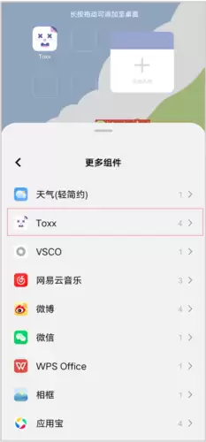 《toxx》设置插件方法