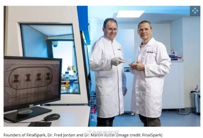 全球首个多类脑器官生物计算平台上架