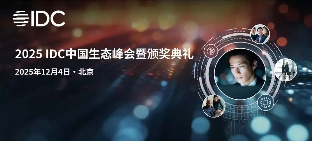 IDC奖项 