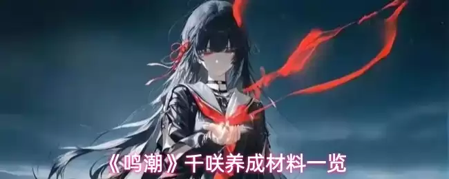 《鸣潮》千啬养成材料一览