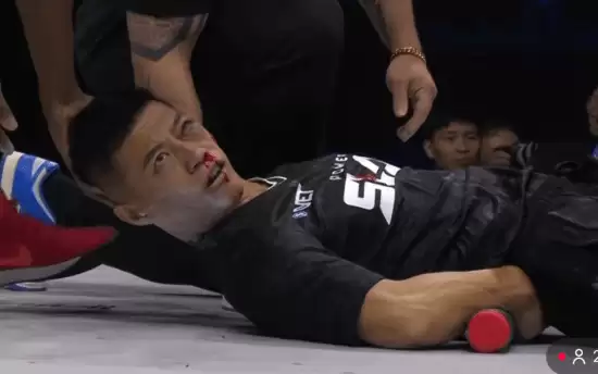 通背拳传人公开致歉：勿让暴力娱乐化扭曲武术本源