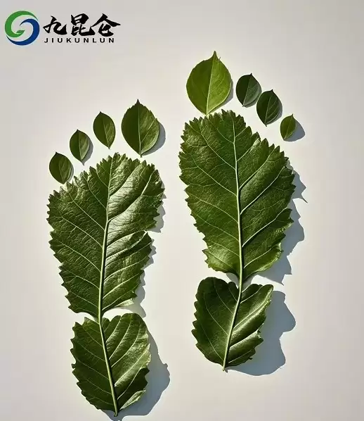 九坤昆仑低碳科技：以科技构建全球碳中和新生生态