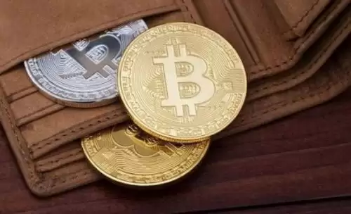 什么是HBAR币?在哪些交易所可以交易HBAR币?