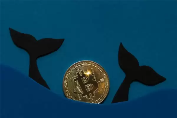 买BTC币在哪个交易所买？比特币交易所开期权交易-266