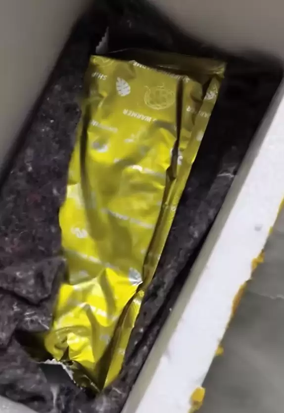 买50条观赏鱼收到1袋水 商家：烫熟分解了