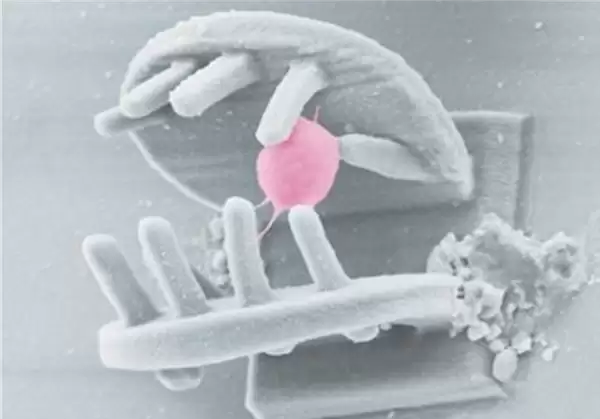 中科院打造3D手型微纳机器人 约40微米可抓取细胞