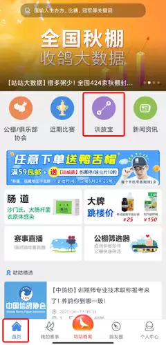 《咕咕信鸽》训放教程