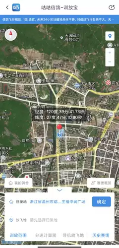 《咕咕信鸽》训放教程