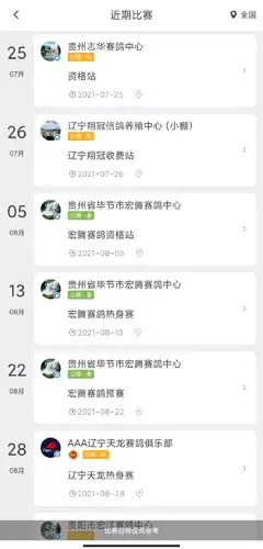 《咕咕信鸽》查询成绩方法