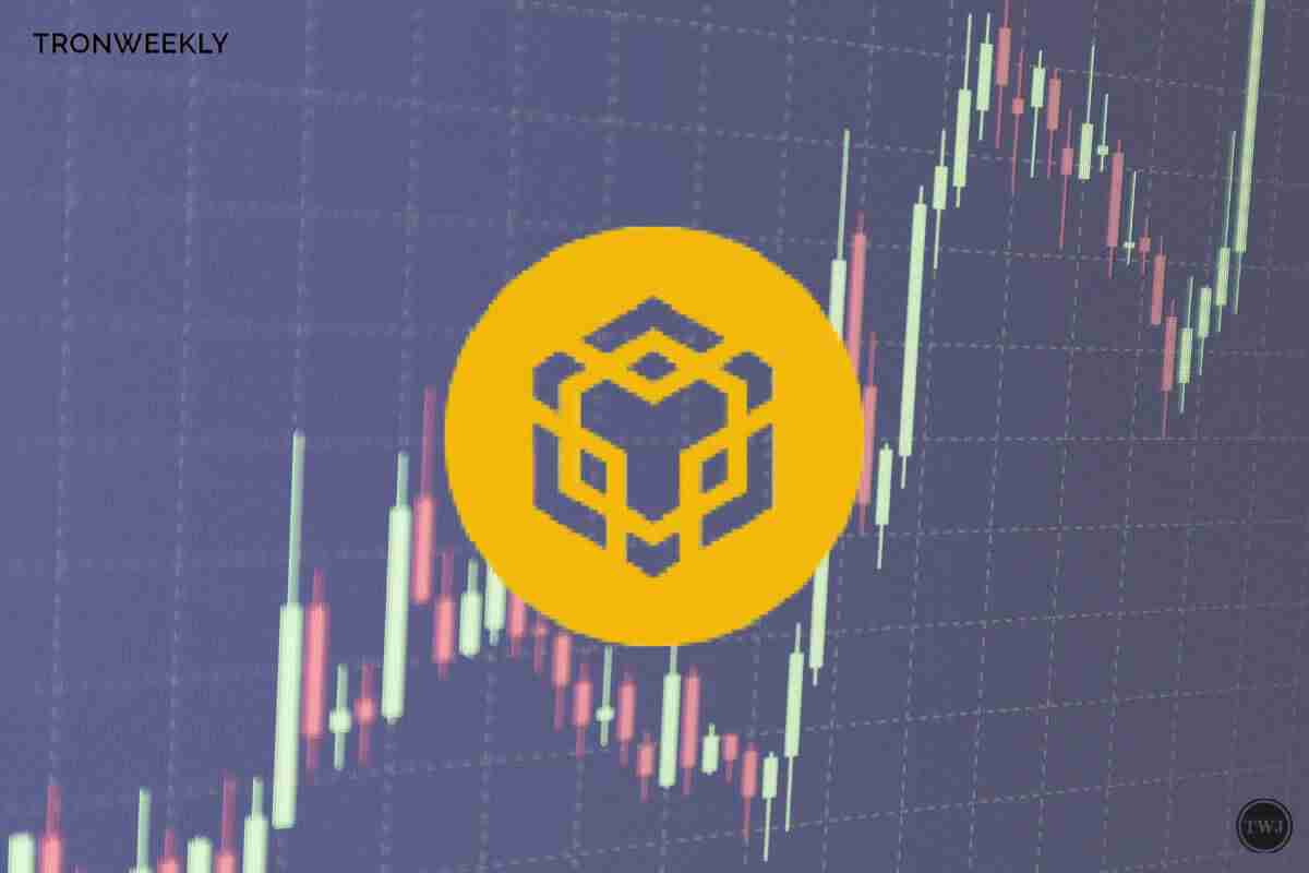 Binance Coin（BNB）表现出令人印象深刻的弹性，因为它牢固地保持着关键的支持水平