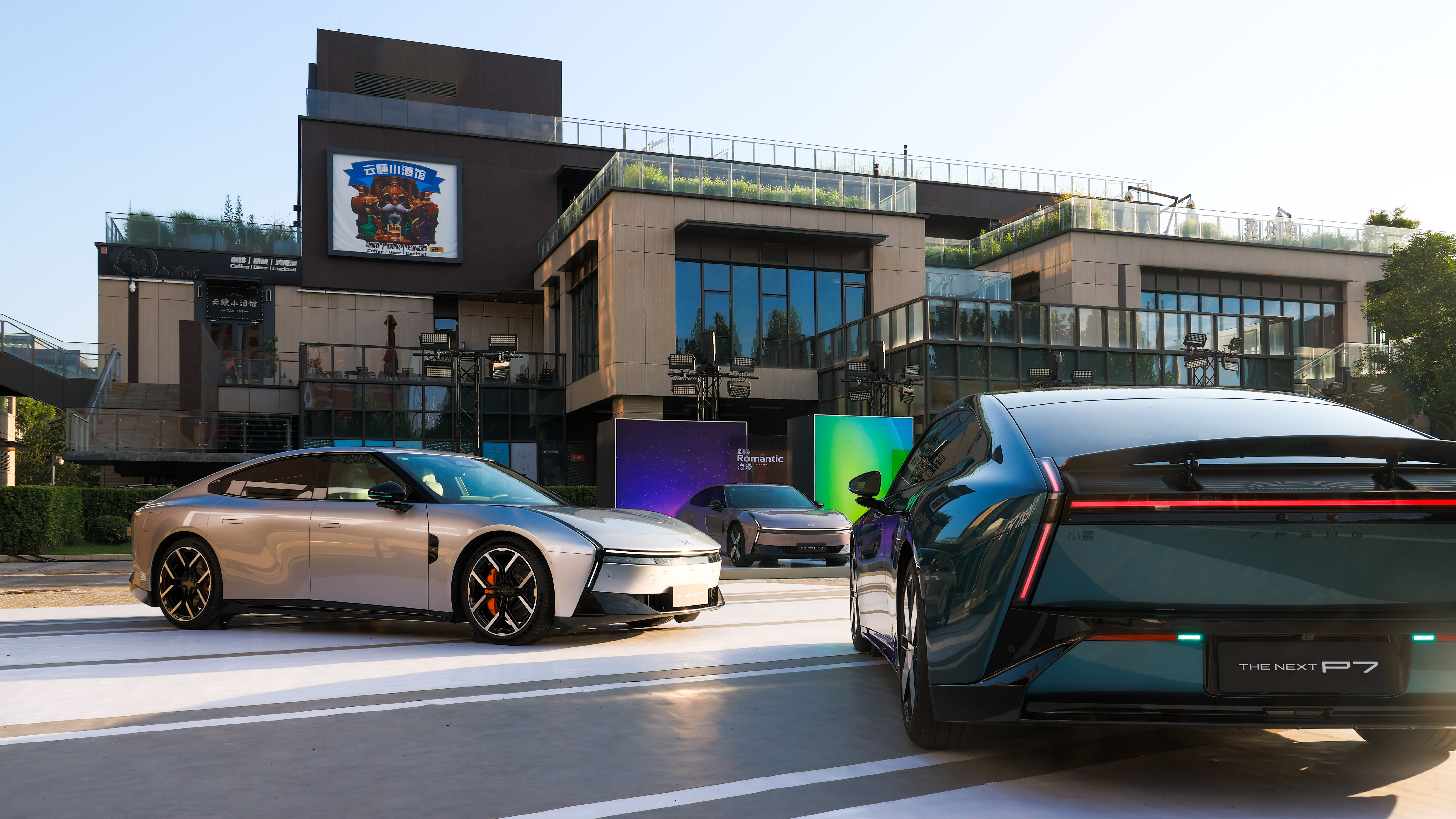 \ ROYB9133-opq3883333611.jpg