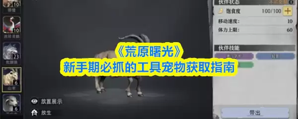 《荒野曙光》新手期必抓的工具宠物获取指南