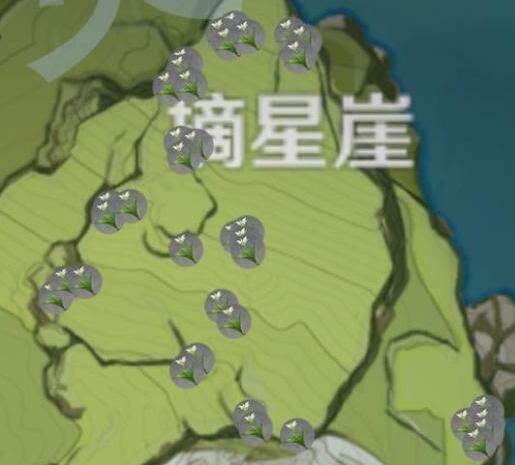 原神塞西利亚花在哪采集