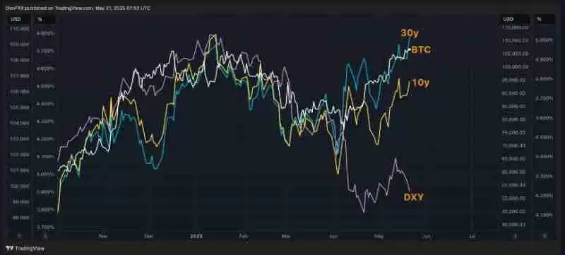 为何这轮牛市与以往不同?六张图表揭示比特币上涨驱动力