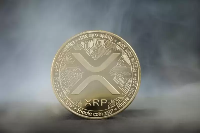 XRP巨鲸在ETF首秀后抛售近2亿枚代币 - 菜鸟下载