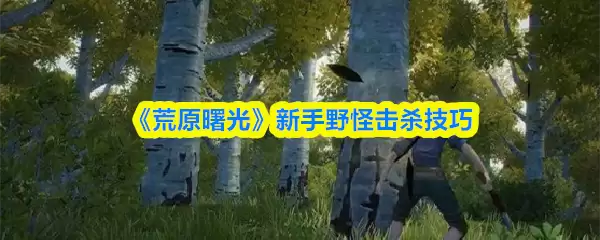 《荒野曙光》新手野怪击杀技巧